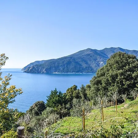 Holiday home Amazing In Puntarospo With House Sea View Litorno